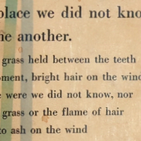 What Shall We Do Without Us?